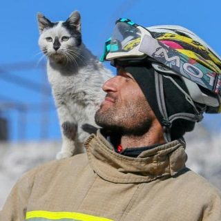 Le pompier qui avait sauvé un chat piégé dans les décombres après les séismes en Turquie a finalement adopté le petit rescapé ! Ils sont aujourd'hui inséparables 😍