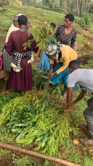 📍 Éthiopie

✋ Imaginons l’impact : soutenir 400 petits agriculteurs, c’est agir concrètement pour la sécurité alimentaire de milliers de personnes #autosuffisance 🤩

Notre association partenaire a porté la voix de ces villageois jusqu’à nous…

Pour que nous sachions qu’ils veulent vivre avec dignité du travail de la terre
Pour que nous sachions que tant d’hommes, de femmes et d’enfants dépendent de leur production.

Ce que nous pouvons faire, c’est notre part : leur mettre à disposition des semences de légumes, des animaux d’élevage sans oublier de les accompagner pour une agriculture durable.

Alors aujourd’hui, nous en sommes à 55% du projet financé, on continue, la #SeedFamily ?

#Ethiopie #Afrique #Alimentation #Agriculture #Villageois #Environnement #Autosuffisance